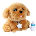 Maskotka interaktywna Little Live Pets Mój wymarzony przyjaciel Tuluś Cobi