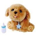 Maskotka interaktywna Little Live Pets Mój wymarzony przyjaciel Tuluś Cobi
