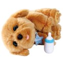 Maskotka interaktywna Little Live Pets Mój wymarzony przyjaciel Tuluś Cobi