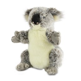 Pacynka National Geographic Koala Dante