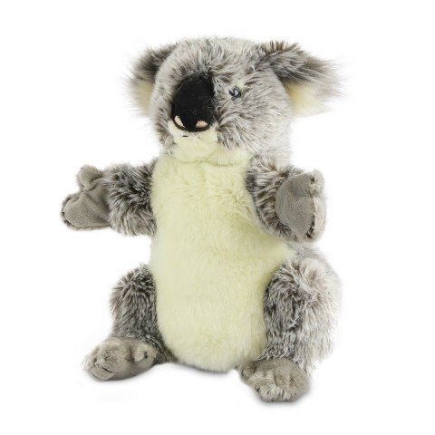 Pacynka National Geographic Koala Dante