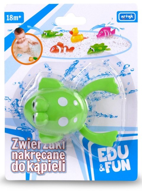 Zabawka do wody - Zielona Żabka Edu&Fun Artyk