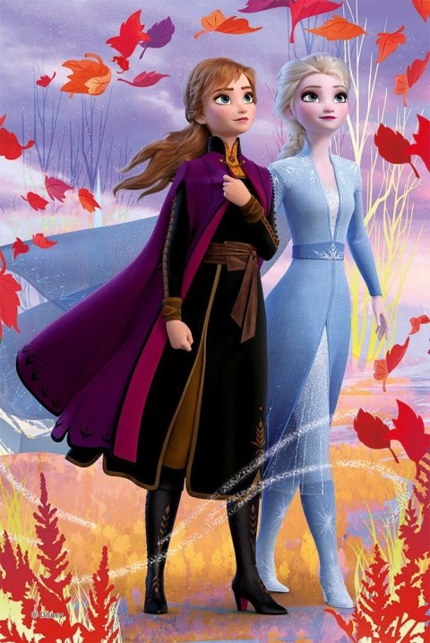 Puzzle 54 elementy Mini Frozen 2 (Kraina Lodu) 40 sztuk/displaya Trefl