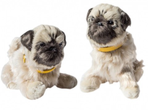 Maskotka Piesek interaktywny - mops ASKATO