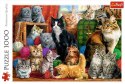 Puzzle 1000 elementów - Kocie spotkanie Trefl