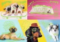 Puzzle 1000 elementów Neon Color Line - Odlotowe psy Trefl