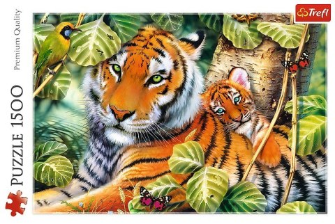 Puzzle 1500 elementów Dwa tygrysy Trefl