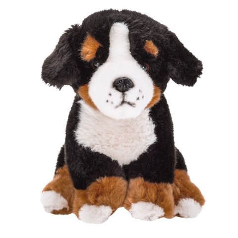 Maskotka Pies Berneński pasterski siedzący 20cm Beppe