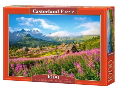 Puzzle 1000 elementów - Hala Gąsienicowa, Tarty, Polska Castor