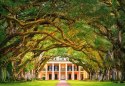 Puzzle 1000 elementów - Oak Alley Plantation Castor