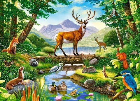 Puzzle 300 elementów - Leśna harmonia Castor