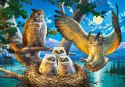 Puzzle 500 elementów - Sowia rodzina Castor