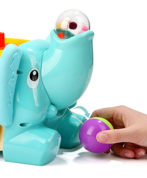 Słonik edukacyjny TOP BRIGHT Brimarex