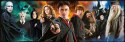 Puzzle 1000 elementów Panorama Harry Potter Clementoni