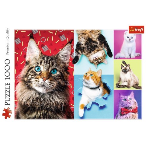 Puzzle 1000 elementów Wesołe koty Trefl