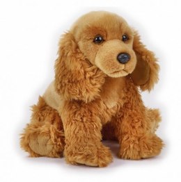 Pluszak Cocker Spaniel National Geograpfic Dante