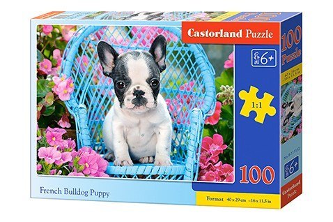 Puzzle 100 elementów Buldog Francuski szczeniaczek Castor