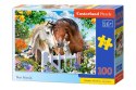 Puzzle 100 elementów Najlepszy przyjaciel konie Castor