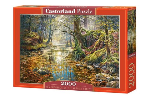 Puzzle 2000 elementów Wspomnienie z jesiennego lasu Castor
