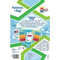 Gra Państwa i Flagi Mistrz Wiedzy Trefl