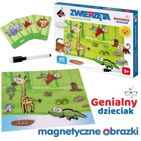 Puzzle magnetyczne - Zwierzęta ASKATO