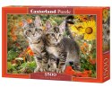 Puzzle 1500 elementów Kociaki Castor