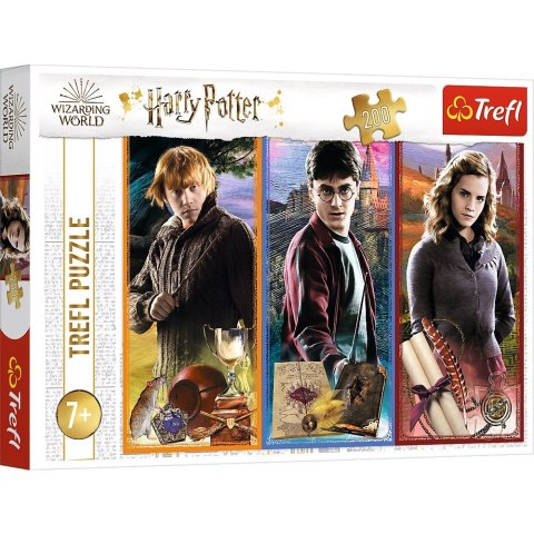 Puzzle 200 elementĂłw W Ĺwiecie magii Harry Potter Trefl