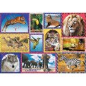 Puzzle 1000 elementów Dzika natura Animal Planet Trefl