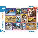 Puzzle 1000 elementów Dzika natura Animal Planet Trefl