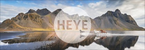 Puzzle 1000 elementów Islandia - Dzikie konie Heye