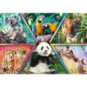 Puzzle 1000 elementów Królestwo zwierząt Animal Planet Trefl