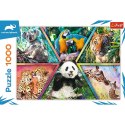Puzzle 1000 elementów Królestwo zwierząt Animal Planet Trefl