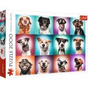 Puzzle 2000 elementów Zabawne psie portrety II Trefl