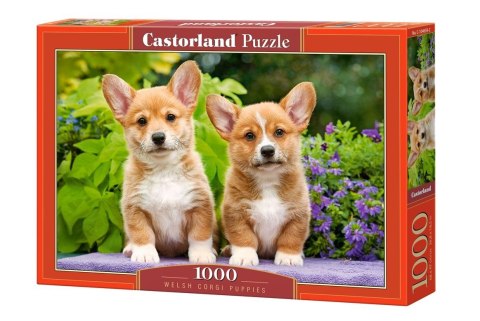 Puzzle 1000 elementów Szczeniaki Corgi psy Castor