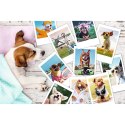 Puzzle 300 elementĂłw - Psy, zdjÄcia z wakacji Trefl