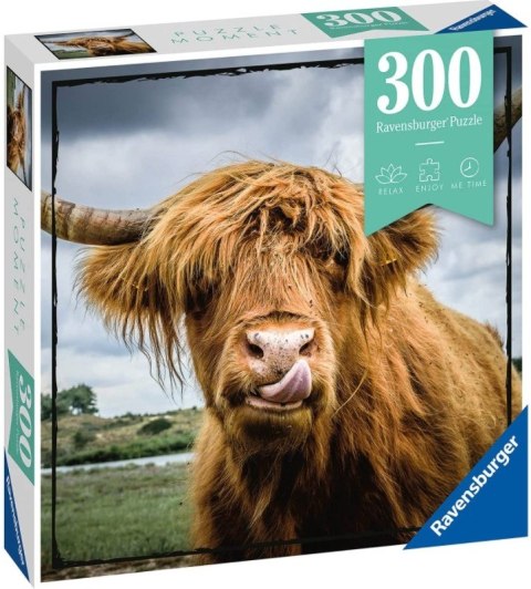 Puzle 300 elementów Momenty, Szkocka krowa Ravensburger Polska