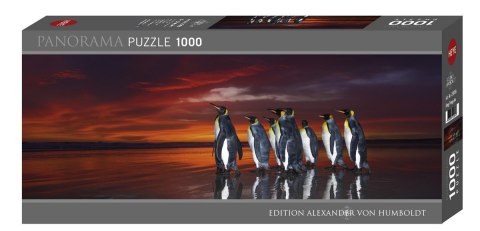 Puzzle 1000 elementów Król pingwinów Heye