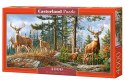 Puzzle 4000 elementów - Królewska rodzina jeleni Castor