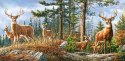Puzzle 4000 elementów - Królewska rodzina jeleni Castor