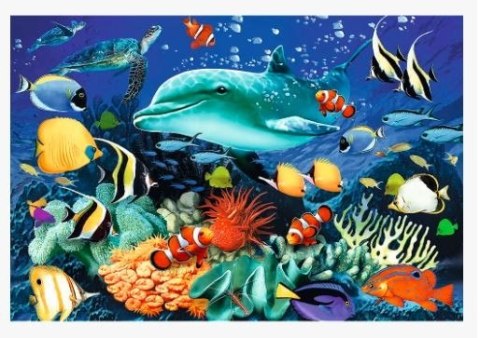Puzzle drewniane 500 elementów Morskie życie rafa Trefl