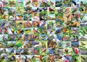 Puzzle 2D Duży Format 99 zachwycających ptaków 300 elementów Ravensburger Polska