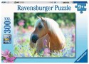 Puzzle 300 elementów 2D Koń Ravensburger Polska