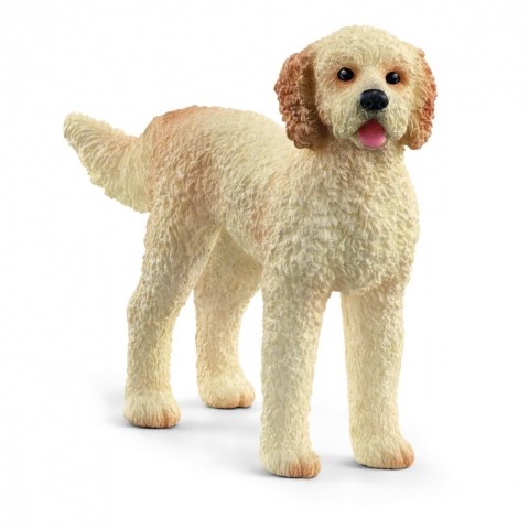 Figurka Goldendoodle Schleich