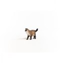 Figurka Kot Ragdoll Farm World Schleich