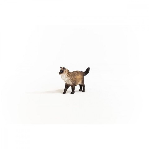 Figurka Kot Ragdoll Farm World Schleich