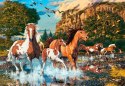 Puzzle 1000 elementów Konie Castor