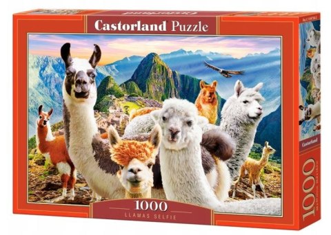 Puzzle 1000 elementów Lamy Castor