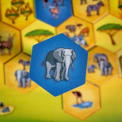 Gra Park Sawanna Portal Games