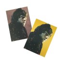 Karty Harry Potter - Saszetki Display 18 sztuk Panini Kolekcja