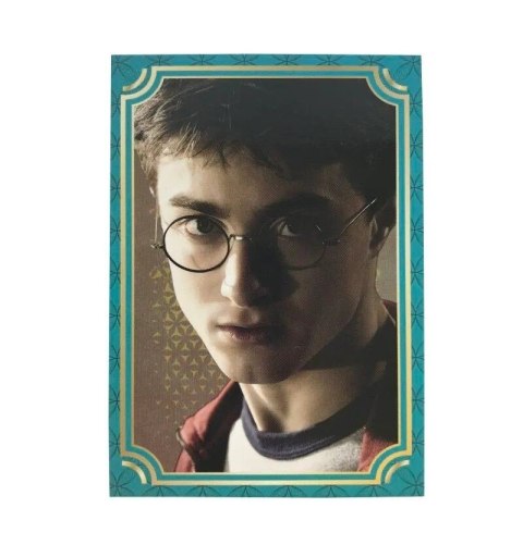 Karty Harry Potter - Saszetki Display 18 sztuk Panini Kolekcja